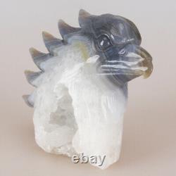 5.5 Natural Geode Agate Quartz Crystal Hand Carved Eagle Head Animal 795g
