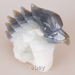 5.5 Natural Geode Agate Quartz Crystal Hand Carved Eagle Head Animal 795g