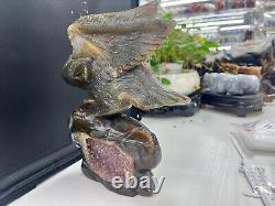 5.5LB Natural Geode Agate Quartz Hand Carved Crystal Eagle Skull Reiki Gem Decor