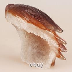 5.7 Natural Geode Agate Quartz Crystal Hand Carved Eagle Head Animal 780g