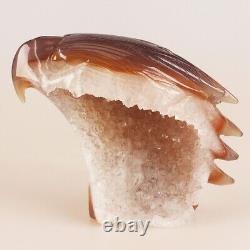 5.7 Natural Geode Agate Quartz Crystal Hand Carved Eagle Head Animal 780g