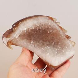 5.7 Natural Geode Agate Quartz Crystal Hand Carved Eagle Head Animal 780g