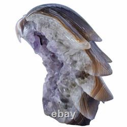 5.8'' Natural Geode Agate Amethyst Eagle skull hand Carved crystal, Reiki Healing