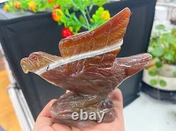 530g Natural Geode Agate Quartz Hand Carved Crystal Eagle Skull Reiki Gem Decor