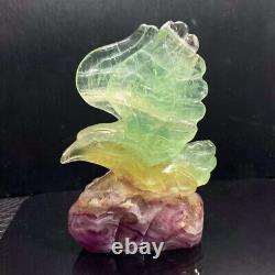 581g Natural Fluorite Quartz Hand Carved Crystal Eagle Skull Reiki Gem Decor