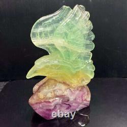 581g Natural Fluorite Quartz Hand Carved Crystal Eagle Skull Reiki Gem Decor