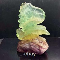 581g Natural Fluorite Quartz Hand Carved Crystal Eagle Skull Reiki Gem Decor