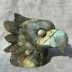 590g Natural Crystal Flash Labradorite Hand Carved Eagle Head Gift K2181o