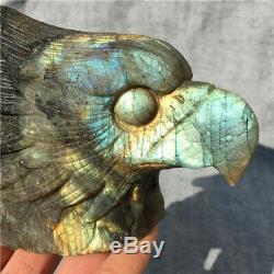 590g Natural Crystal Flash Labradorite Hand Carved Eagle Head Gift k2181O