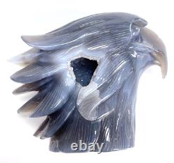 6.2'' Natural Geode Eagle Skull Hand Carved Crystal Sculpture, Home Decorator