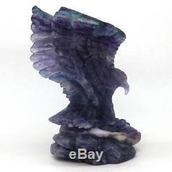 6.3 Eagle Statue Natural Fluorite Crystal Hand-Carved Crafts Home Office Decor
