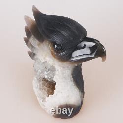 6.7 Natural Geode Agate Quartz Crystal Hand Carved Eagle Head Animal 1590g