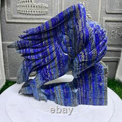 6.85LB Natural lapis lazuli Quartz Hand Carved Eagle Skull Crystal healing decor