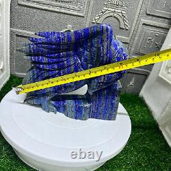 6.85LB Natural lapis lazuli Quartz Hand Carved Eagle Skull Crystal healing decor