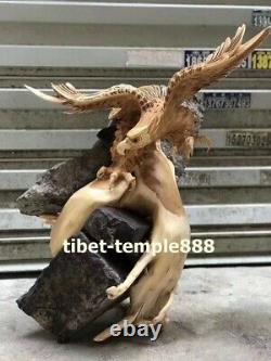 60 cm Chinese Thuja sutchuenensis wood eagle stretched its wings Bird sculpture