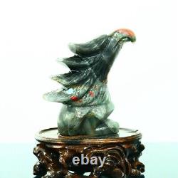 608g Natural bloodstone hand carved eagle quartz crystal decoration healing