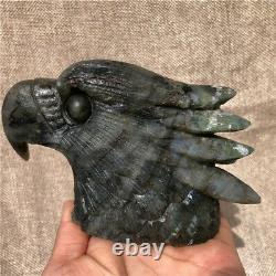 610g Natural labradorite eagle head Quartz hand carved crystal skull Healing