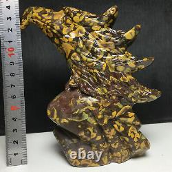 627g Natural Crystal. INDIA FOSSIL STONE. Hand-carved. The Exquisite Eagle Head