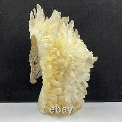 676g Natural quartz crystal cluster mineral specimen, hand-carved the Eagle gift