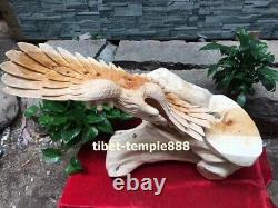 69 cm Chinese Thuja sutchuenensis Handwork wood Lanneret Hawk Eagle sculpture