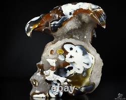 7.0 Orca Agate Hand Carved Crystal Skull Fine Art Sculpture and Eagle, Crystal