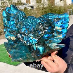 7.55LB Natural beautiful labradorite crystal hand- carved eagle healing(Costin)