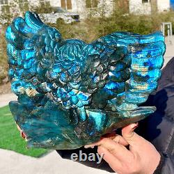 7.55LB natural beauty labradorite crystal hand carved eagle healing
