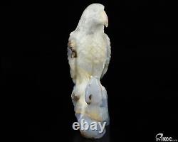 7.9 Blue Chalcedony Hand Carved Crystal Eagle & Snake Sculpture Crystal Healing