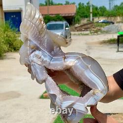 7.9LB Natural agate quartz crystal hand carved skull and Flying Eagle Healing