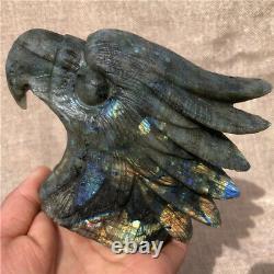700g Natural labradorite eagle head Quartz hand carved crystal skull Healing
