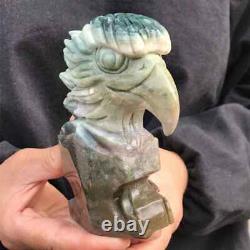 710g Natural ocean jasper eagle skull hand carved Quartz Crystal skull Healing