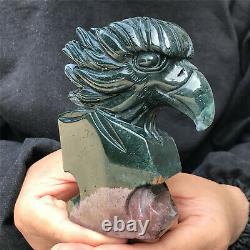 710g Natural stone hand-carved eagle skull collection