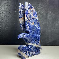 722g Natural Crystal Mineral Specimen. Sodalite. Hand-carved The Eagle. Gift. V7