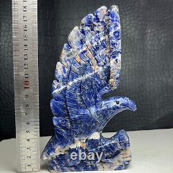 722g Natural Crystal Mineral Specimen. Sodalite. Hand-carved The Eagle. Gift. V7