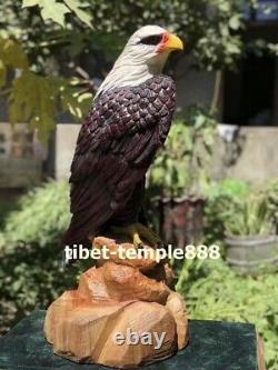 76 cm Chinese Camphorwood Handwork Painted wood eagle hawk Bird animal sculpture