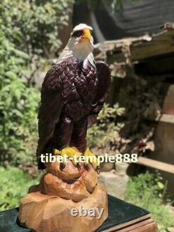 76 cm Chinese Camphorwood Handwork Painted wood eagle hawk Bird animal sculpture