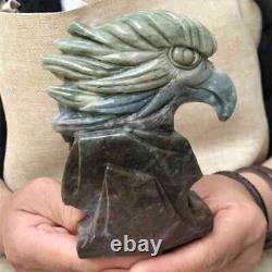 760g Natural ocean jasper eagle skull hand carved Quartz Crystal skull Healing