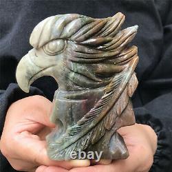 760g Natural stone hand-carved eagle skull collection