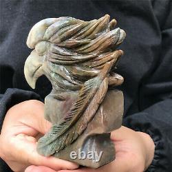 760g Natural stone hand-carved eagle skull collection