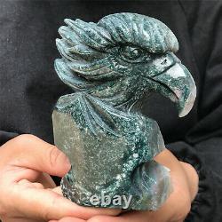 770g Natural stone hand-carved eagle skull collection