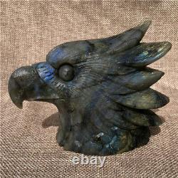780g Natural labradorite eagle head Quartz hand carved crystal skull Healing