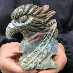 790g Natural stone hand-carved eagle skull collection