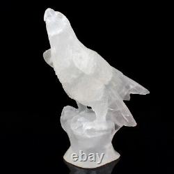 8.5 in Natural Crystal Eagle Skull Hand Carved Crystal Statue Skull, Home Decora