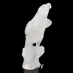 8.5 in Natural Crystal Eagle Skull Hand Carved Crystal Statue Skull, Home Decora