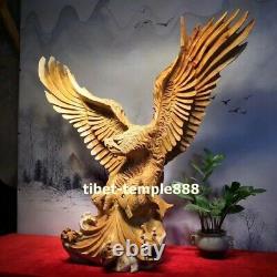 80 cm Chinese Thuja sutchuenensis Handwork wood eagle hawk lanneret sculpture