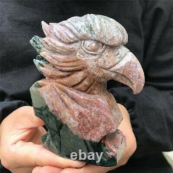 820g Natural stone hand-carved eagle skull collection