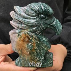 830g Natural stone hand-carved eagle skull collection