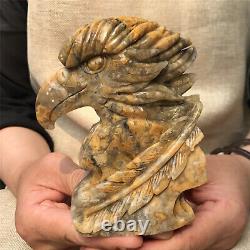 840g/Natural Crazy agate Quartz hand Carved eagle skull crystal Reiki gift