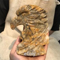 840g/Natural Crazy agate Quartz hand Carved eagle skull crystal Reiki gift