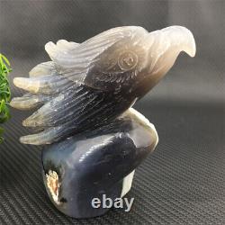 860g Natural Agate Geode Quartz Eagle Skull Hand Carved Crystal Healing. TC242